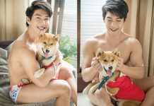 Thú vị khi chiêm ngưỡng Cậu Vàng pose dáng cùng trai đẹp