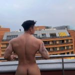 summer__dog_28f642ee7c2d47739479f34cf301124e